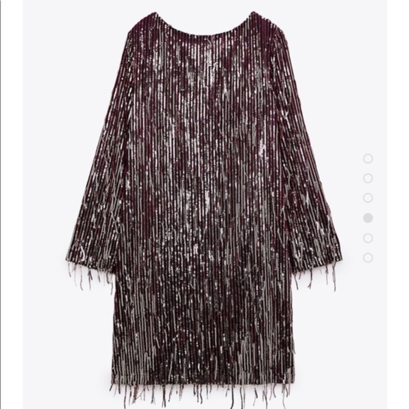 NWT Zara Fringe Sequin Mini Dress, Burgundy - Picture 5 of 5